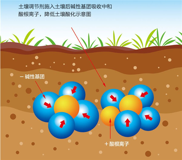 土壤是農(nóng)業(yè)的基礎(chǔ)，保護土壤，從現(xiàn)在開始